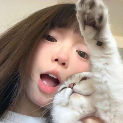 萌宠入殓师