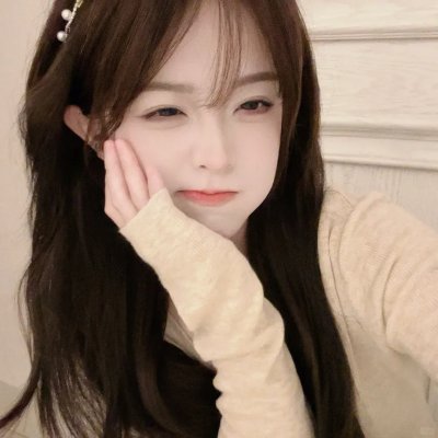 燕子盗